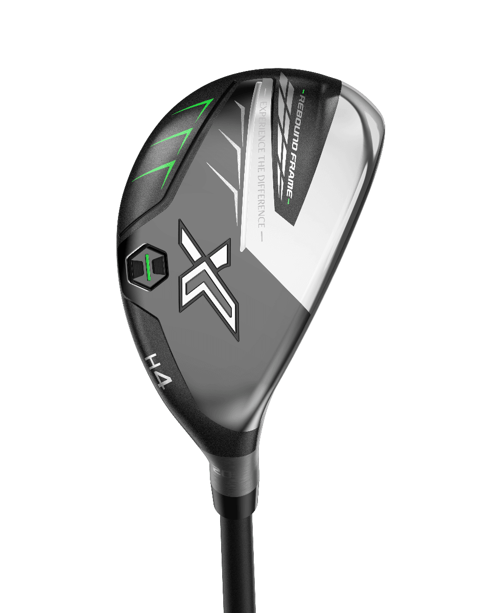 Hibrido XXIO 12 X eks OFERTA