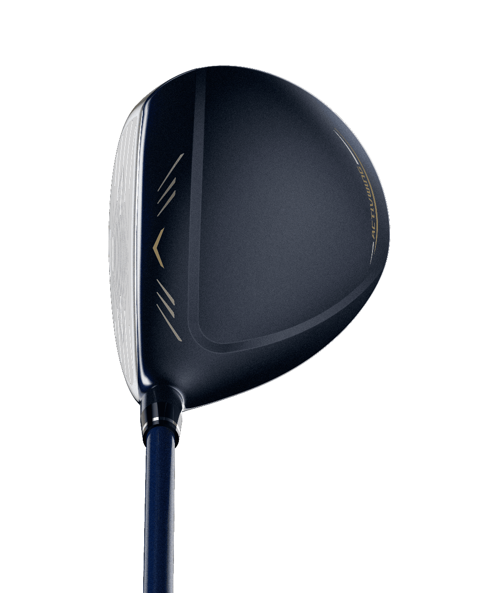 Madera XXIO 12 OFERTA - vista miniatura 2