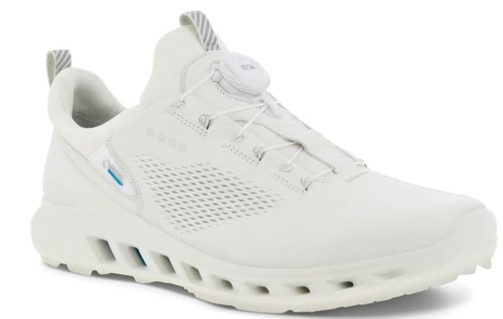 Zapatos Ecco Biom Cool Pro Gore-Tex BOA 102114-11007  