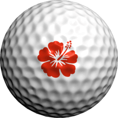 Marcas para bolas Golfdotz Hawalian Hibicus - imagen 1