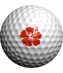 Marcas para bolas Golfdotz Hawalian Hibicus