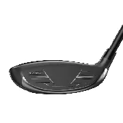 Madera XXIO 13 Eks Limited Edition ( Custom )