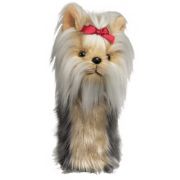 Funda Drivers Daphnes Yorkshire Terrier